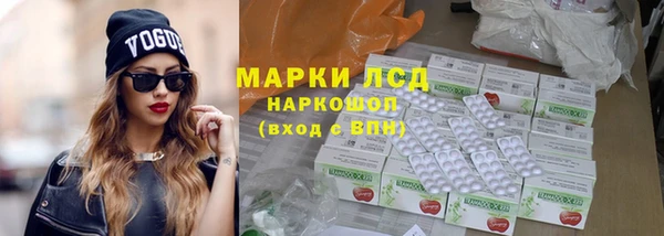 spice Бородино