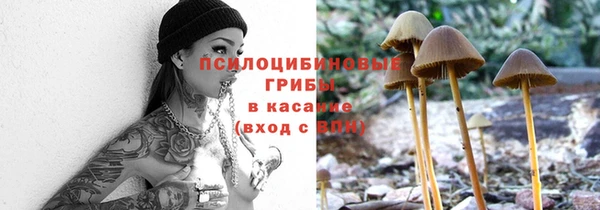 spice Бородино