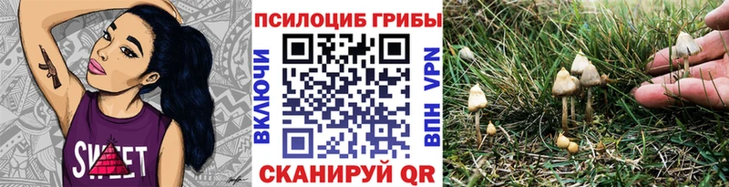 Галлюциногенные грибы прущие грибы  Клин 